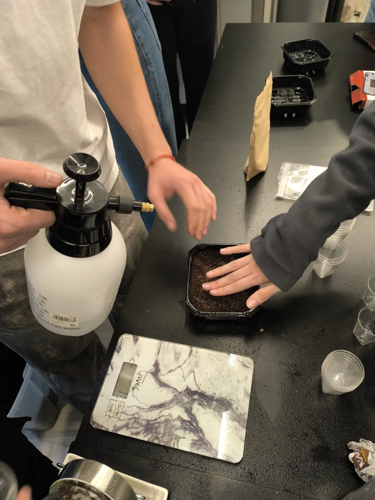 Hands seeding a microgreens tray during an EVEC workshop